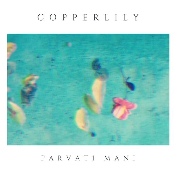Cover art for Copperlily